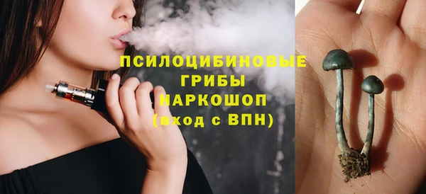соль ск Кинешма