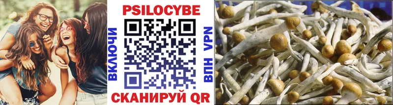 Купить закладки  Краснокамск  Псилоцибиновые грибы Psilocybine cubensis 